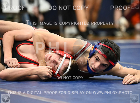 DLS_4183