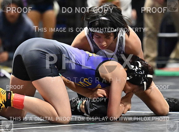 DLS_7200