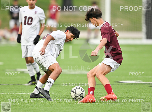 DLS_8995