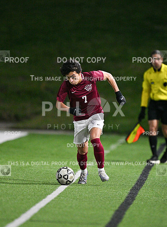 DLS_0084