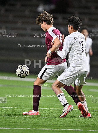 DLS_0551