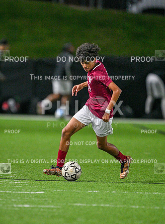 DLS_0561