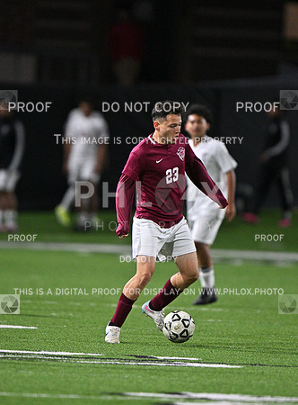 DLS_0680