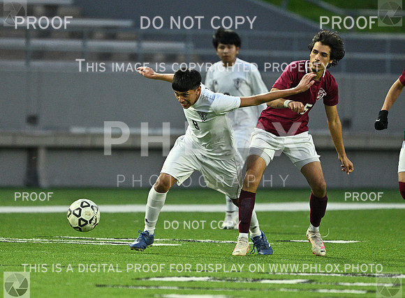 DLS_9737