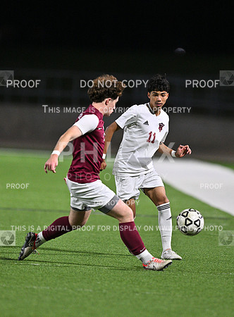 DLS_0947