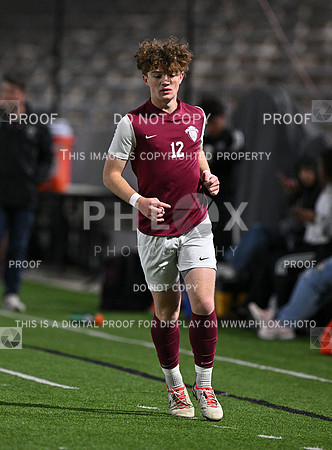DLS_0951