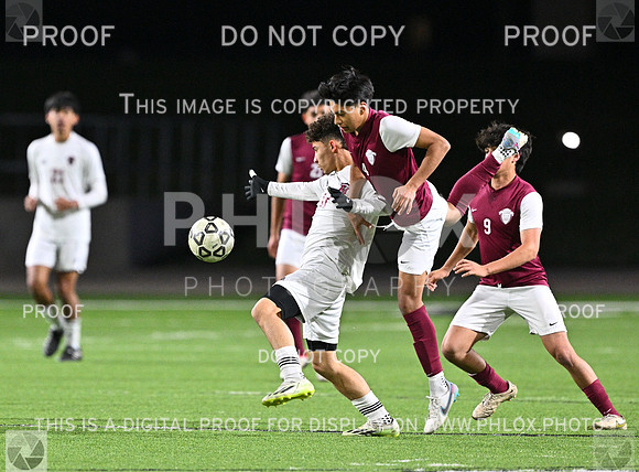 DLS_0987