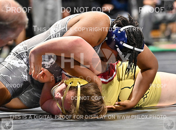 DLS_7553