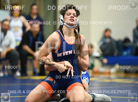 DLS_1098-D-severe-noise