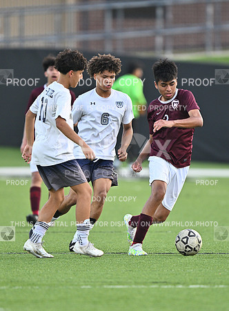 DLS_2013