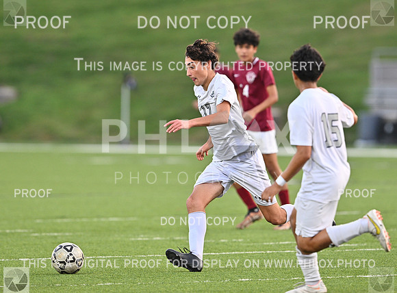 DLS_2278