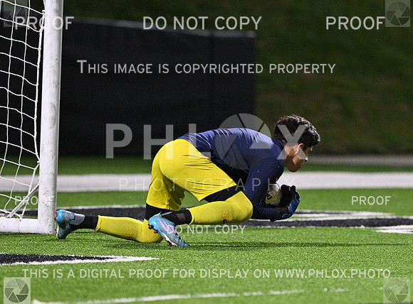 DLS_3292