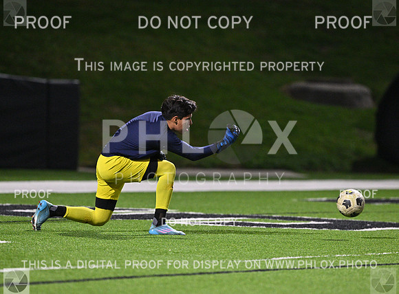 DLS_3294