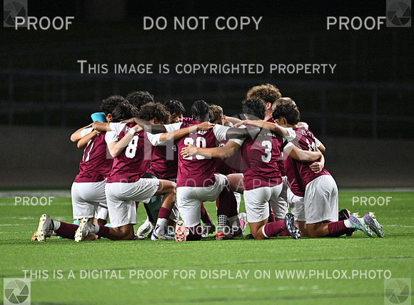 DLS_3380