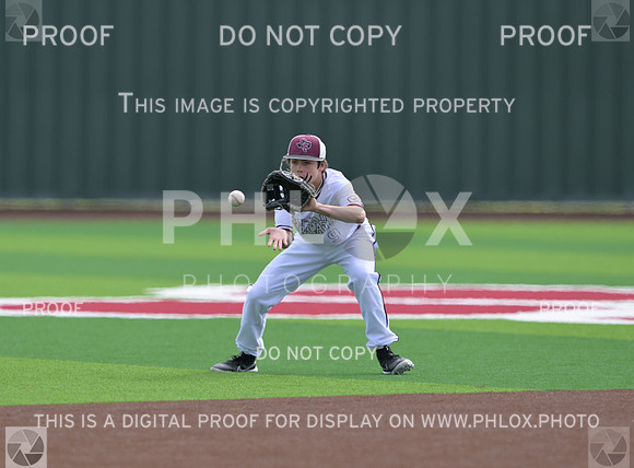 DLS_4245