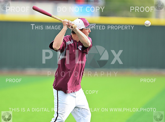 DLS_4281