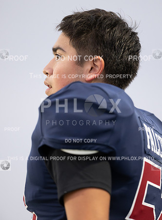 DLS_493