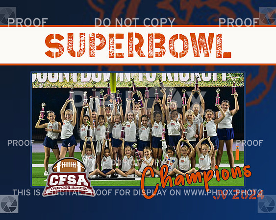 CFSA GAME 5 JV BEARS CHEER FUN