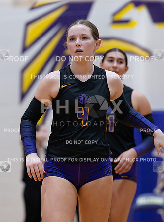 DLS_0844