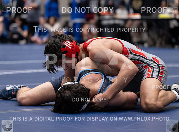 DLS_7639