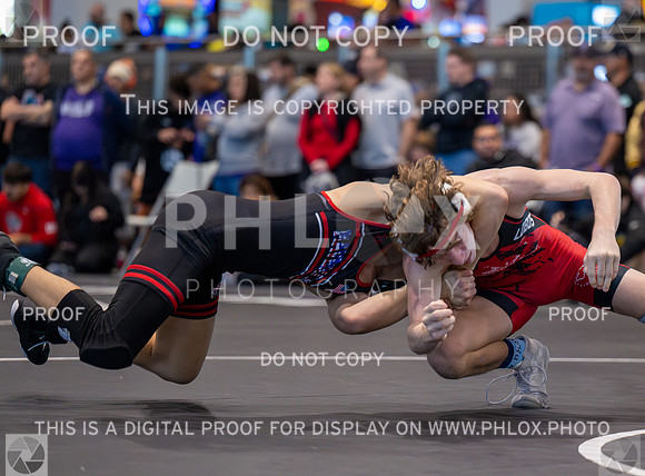 DLS_3034