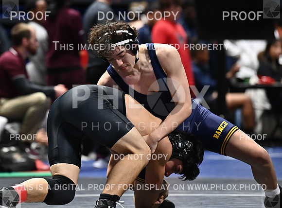DLS_7020