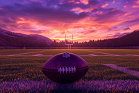 Phloxcovers-5
