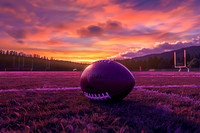Phloxcovers-4
