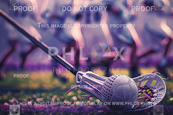 phlox2-9