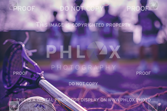 phlox2-10