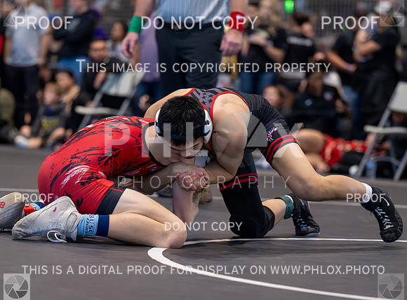 DLS_3038