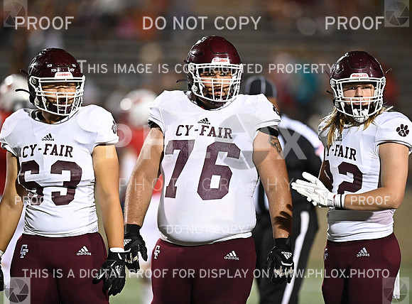 DLS_7301