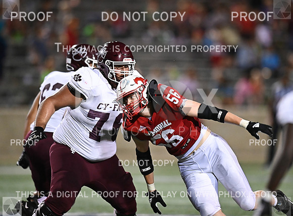DLS_7522