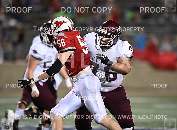 DLS_7525