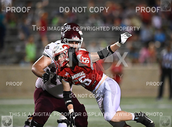 DLS_7523
