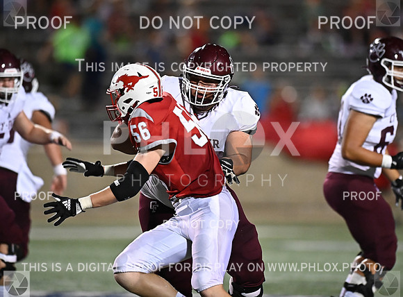DLS_7524