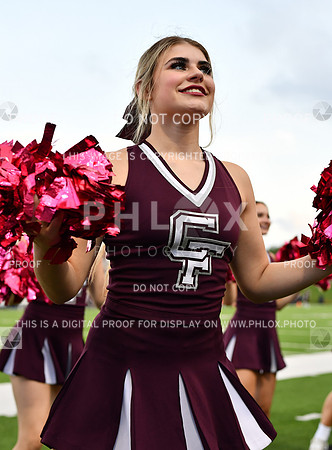 FDS_3775