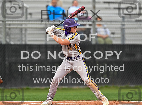 DLS_0966