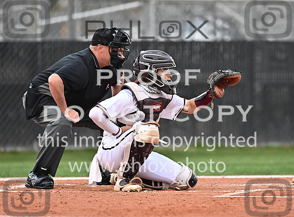 DLS_0960