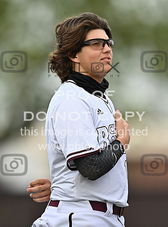 DLS_0910