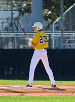 DLS_2013