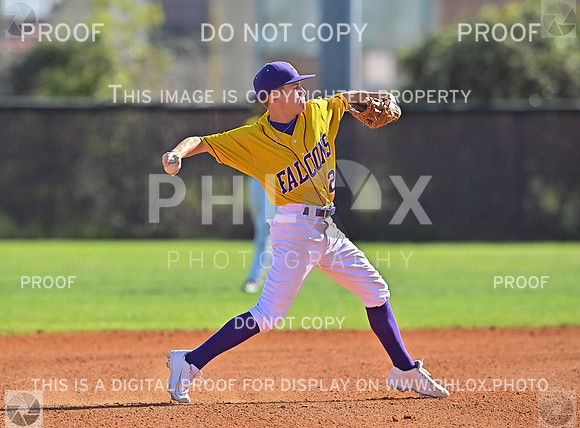 DLS_2095