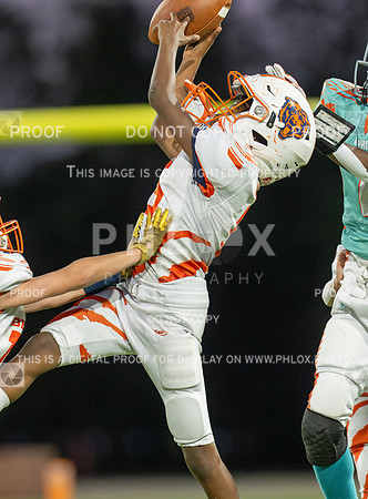 4pm Jv-Bears (V) vs Dolphins (H)-159