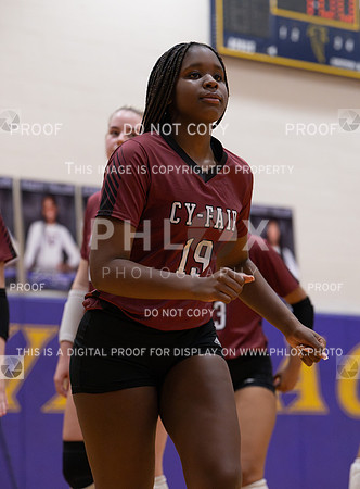 DLS_0689