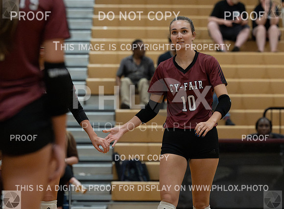 DLS_7254