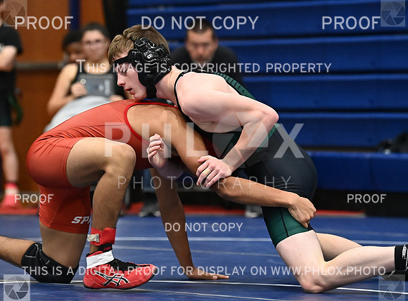 DLS_4231