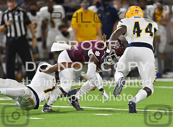 DLS_3261