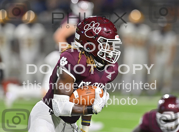 DLS_4221