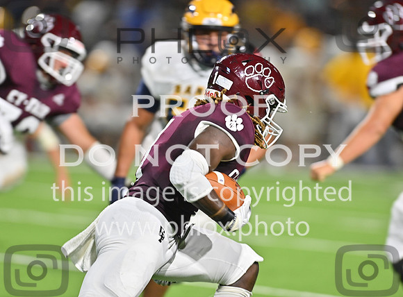DLS_4223