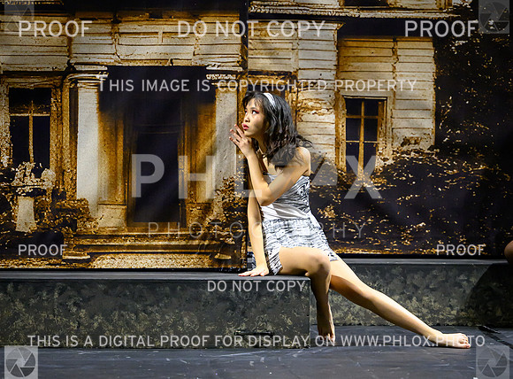 PSZ-19073166